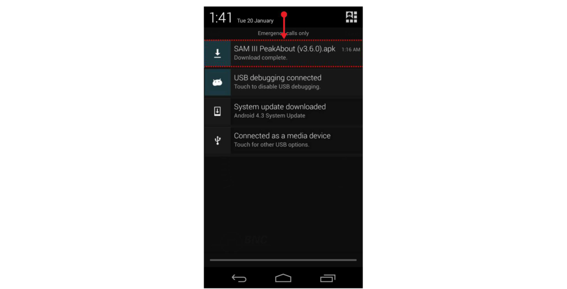 Figure 4.39. PeakAbout software upgrade, step 3
