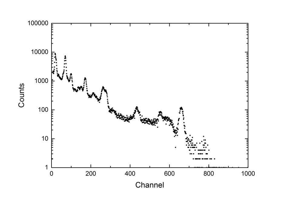 SiPM signal waveforms at different terminations